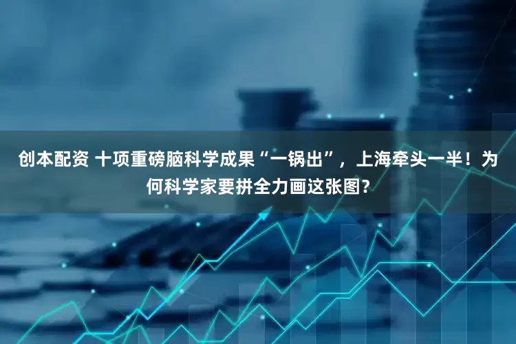 创本配资 十项重磅脑科学成果“一锅出”，上海牵头一半！为何科学家要拼全力画这张图？