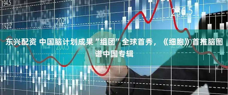 东兴配资 中国脑计划成果“组团”全球首秀，《细胞》首推脑图谱中国专辑