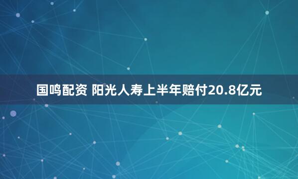 国鸣配资 阳光人寿上半年赔付20.8亿元
