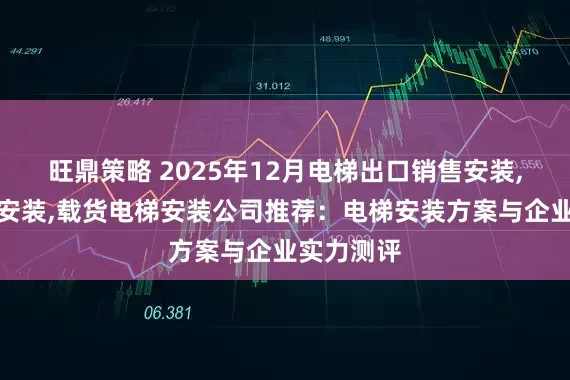 旺鼎策略 2025年12月电梯出口销售安装,乘客电梯安装,载货电梯安装公司推荐：电梯安装方案与企业实力测评
