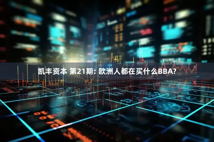 凯丰资本 第21期: 欧洲人都在买什么BBA?